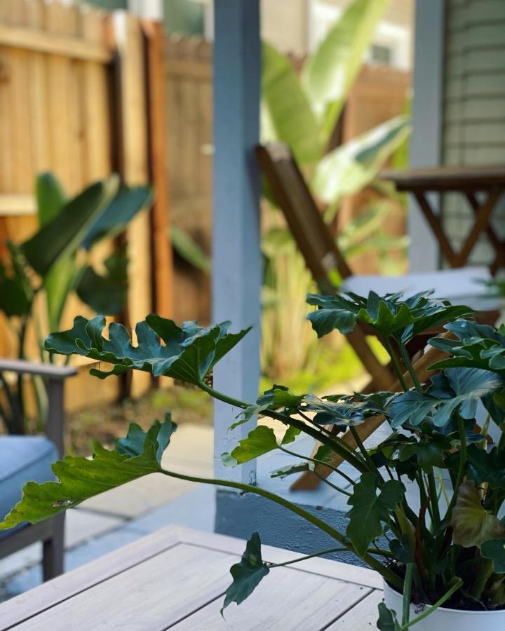 Lbc Paradise Bungalow Лонг Бич Экстерьер фото